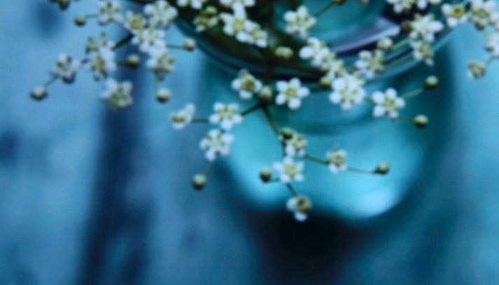 Elderflowers in a vase